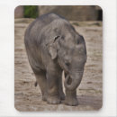 Recherche de baby tapis souris Animal