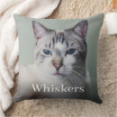 Zoek naar huisdieren kussens For pets