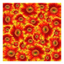 Recherche de floraison posters Printemps