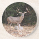 Recherche de buck dessous de verres Bois