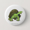 Recherche de tortue mignonne badges Capricieux