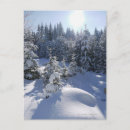 Zoek naar beiers briefkaarten Winter