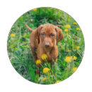 Recherche de animaux planches à découper Mignon