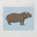 Recherche de hippopotame cartes postales Jungle