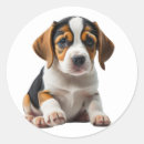 Recherche de canines autocollants Toute personne