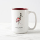 Recherche de bougies tasses Nature