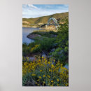 Recherche de fleurs sauvages jaunes posters Paysage