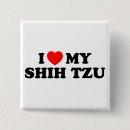 Zoek naar shih tzu accessoires Hond