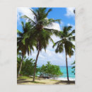 Recherche de paysage marin cartes postales Tropical