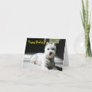 Recherche de schnauzer miniature anniversaire cartes Mignon
