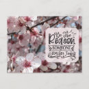 Recherche de plume cartes postales Passage