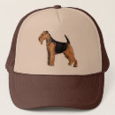Recherche de gallois casquettes Chien