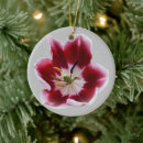 Recherche de de noël de tulipe Blanc