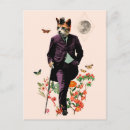 Recherche de chats drôles cartes postales Vintage