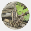 Recherche de ménagerie autocollants Animal