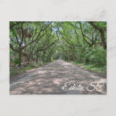 Recherche de chemin terre cartes postales Arbres