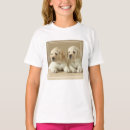 Recherche de goldener labrador tshirts Chiot