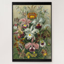 Recherche de der puzzles Kunstformen der natur