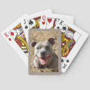 Recherche de grand chien jeux de cartes Animaux