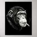 Zoek naar grappige chimpansee posters Meme