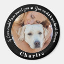 Recherche de perte de mémoire magnets Chien