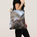 Recherche de chat de gingembre sacs Animaux de bébé