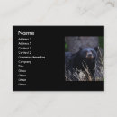 Recherche de ours cartes visite Extérieur