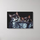 Recherche de seau posters Tir de studio