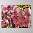 Zoek naar bloesem posters Lente