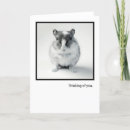 Recherche de gerbil vœux cartes Photographie