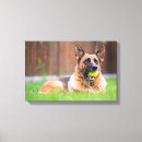 Recherche de langue impressions sur toile Chien