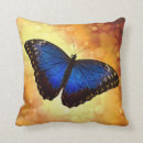 Recherche de papillon bleu morpho coussins Tropical