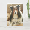 Zoek naar shetland kaarten Sheltie