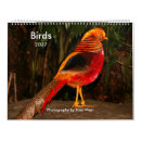 Recherche de oiseau calendriers Oiseaux aquatiques