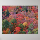 Recherche de de voyage du canada posters Nature