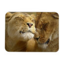 Recherche de de tigre refrigérateur magnets Maison