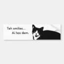 Recherche de chat noir drôle voiture autocollants Sourire
