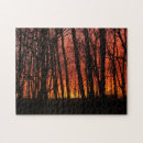 Recherche de foret puzzles Coucher de soleil