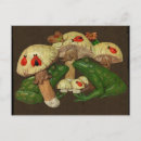 Recherche de toadstool cartes postales Nature