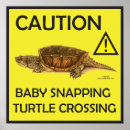 Recherche de tortues posters Jaune