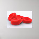 Recherche de globules rouges art Image numériquement produite