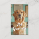 Recherche de comportement cartes visite Marcheur de chiens