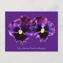 Recherche de fancy cartes postales Violet