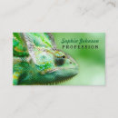 Zoek naar chameleon visitekaartjes Groen