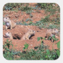 Recherche de animaux de prairie autocollants Pour tous