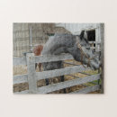Recherche de le cheval puzzles Étalon