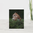 Recherche de rapaces vœux cartes Hibou