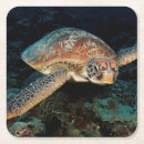 Recherche de tortue dessous de verres Vie marine