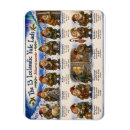 Recherche de islandais magnets Hiver