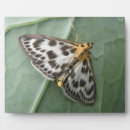 Recherche de papillons plaques Inspirant